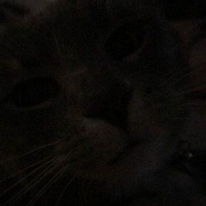 Meet your Posher, Jayden